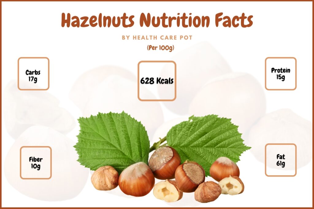 Hazelnut 100G Nutrition Facts - Health Care Pot