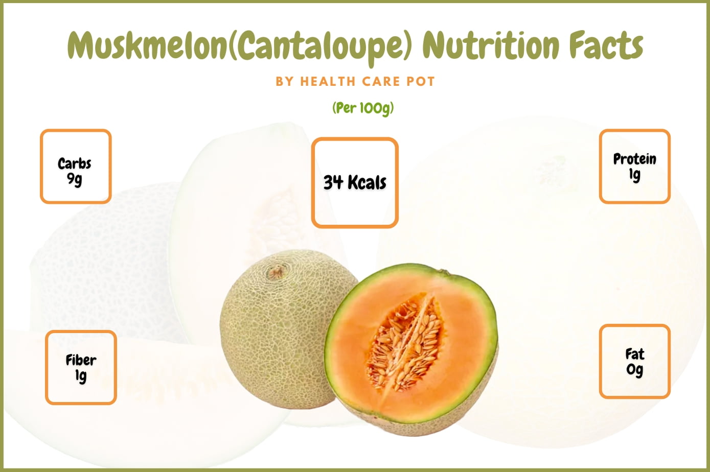 Muskmelon(Cantaloupe) 100G Nutrition Facts And Benefits