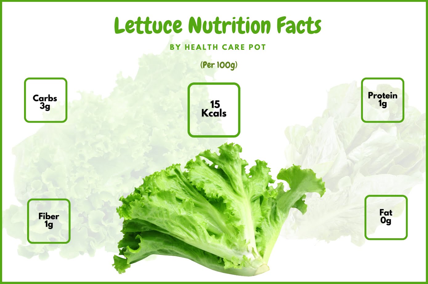 lettuce nutrition facts - Health Care Pot