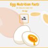 Egg Nutrition Facts And Health Benefits