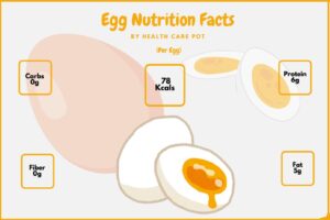 Egg Nutrition Facts And Health Benefits